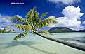 Click image for larger version

Name:	Preview1680x1050.jpg
Views:	130
Size:	124.3 KB
ID:	638713