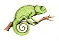 Click image for larger version

Name:	Cameleon.jpg
Views:	59
Size:	34.9 KB
ID:	639826