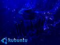 Click image for larger version

Name:	kbu3dtu.jpg
Views:	53
Size:	46.4 KB
ID:	647122