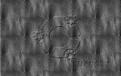 Click image for larger version

Name:	Kubuntu Leather 04_1280x800preview.jpg
Views:	36
Size:	30.1 KB
ID:	647315