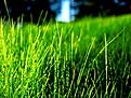 Click image for larger version

Name:	27783-r-1920-1440-green-grass-contrast.jpg
Views:	48
Size:	122.3 KB
ID:	647319