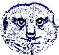 Click image for larger version

Name:	Meerkat Test AA.jpg
Views:	74
Size:	18.0 KB
ID:	647399