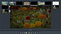 Click image for larger version

Name:	Kinetic_LO_Impress.jpg
Views:	215
Size:	76.1 KB
ID:	664561