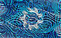 Click image for larger version

Name:	spn1a.jpg
Views:	3
Size:	317.9 KB
ID:	687768